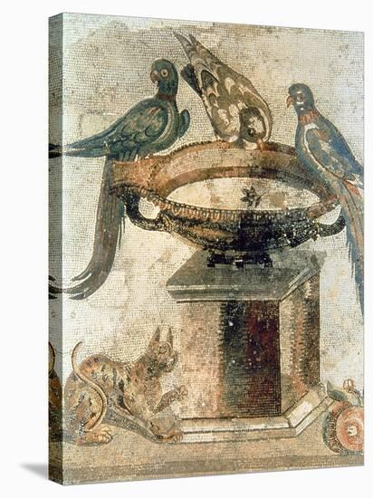 Birds and an Ambushing Cat, from Pompeii, 1st Century Ad-null-Stretched Canvas