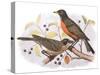 Birds and Berries-Stellar Design Studio-Stretched Canvas