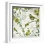 Birds and Butterflies II-Tandi Venter-Framed Art Print