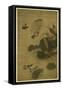 Birds and Flowers-Jiang Tingxi-Framed Stretched Canvas