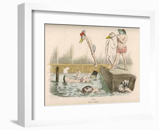 Birds and Frogs Share the Bathing-Pool-null-Framed Art Print