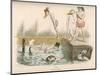 Birds and Frogs Share the Bathing-Pool-null-Mounted Art Print