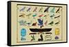 Birds and Other Creatures from Egyptian Monuments-J. Gardner Wilkinson-Framed Stretched Canvas