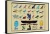 Birds and Other Creatures from Egyptian Monuments-J. Gardner Wilkinson-Framed Stretched Canvas