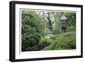 Birds and Path-Stacy Bass-Framed Giclee Print