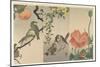 Birds and Plants, 1900-16 (Colour Woodcut)-Ohara Koson-Mounted Giclee Print