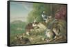 Birds and Rabbits-Pieter Casteels-Framed Stretched Canvas