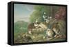 Birds and Rabbits-Pieter Casteels-Framed Stretched Canvas