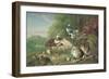 Birds and Rabbits-Pieter Casteels-Framed Giclee Print