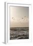 Birds and the Sea 3-Mareike Böhmer-Framed Giclee Print