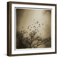 Birds and Trees, Discovery Park-Kevin Cruff-Framed Photographic Print