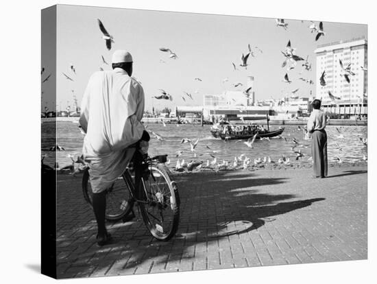 Birds and Watcher, Dubai Creek, Dubai-Walter Bibikow-Stretched Canvas