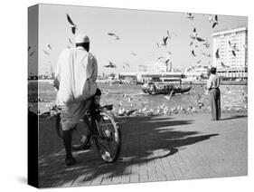 Birds and Watcher, Dubai Creek, Dubai-Walter Bibikow-Stretched Canvas