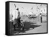 Birds and Watcher, Dubai Creek, Dubai-Walter Bibikow-Framed Stretched Canvas