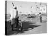 Birds and Watcher, Dubai Creek, Dubai-Walter Bibikow-Stretched Canvas