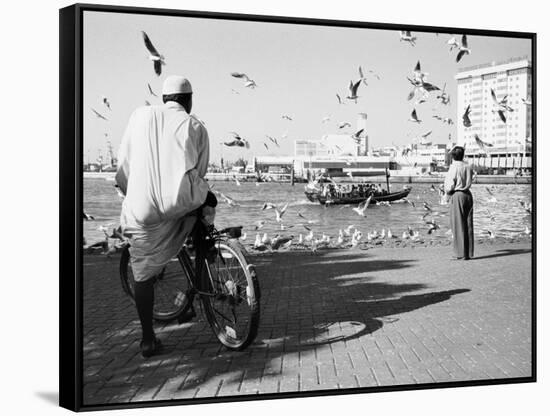 Birds and Watcher, Dubai Creek, Dubai-Walter Bibikow-Framed Stretched Canvas