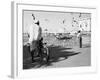 Birds and Watcher, Dubai Creek, Dubai-Walter Bibikow-Framed Photographic Print