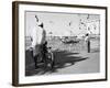 Birds and Watcher, Dubai Creek, Dubai-Walter Bibikow-Framed Photographic Print