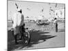 Birds and Watcher, Dubai Creek, Dubai-Walter Bibikow-Mounted Photographic Print