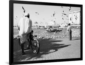 Birds and Watcher, Dubai Creek, Dubai-Walter Bibikow-Framed Photographic Print