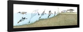 Birds: Anseriformes-null-Framed Giclee Print