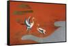 Birds at Sunset on Lake-null-Framed Stretched Canvas