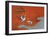 Birds at Sunset on Lake-null-Framed Premium Giclee Print