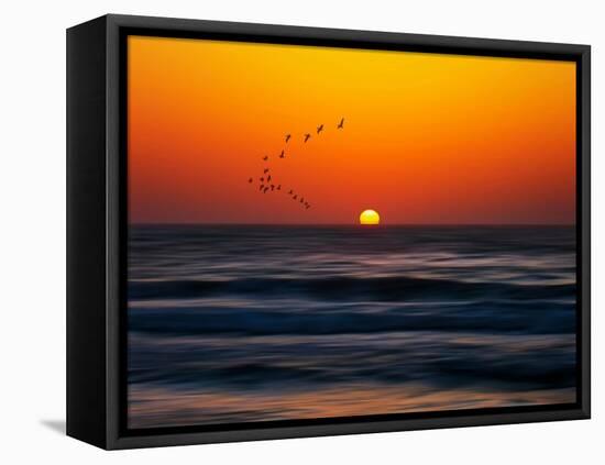 Birds at Sunset-Josh Adamski-Framed Stretched Canvas