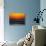 Birds at Sunset-Josh Adamski-Stretched Canvas displayed on a wall