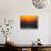 Birds at Sunset-Josh Adamski-Stretched Canvas displayed on a wall