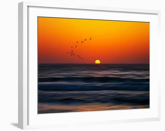 Birds at Sunset-Josh Adamski-Framed Photographic Print