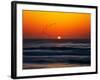 Birds at Sunset-Josh Adamski-Framed Photographic Print