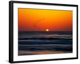 Birds at Sunset-Josh Adamski-Framed Photographic Print