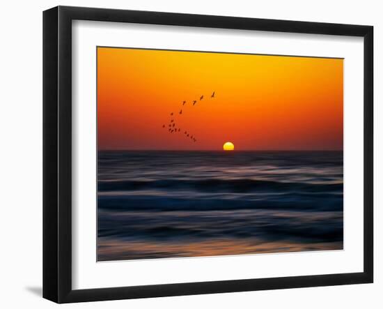 Birds at Sunset-Josh Adamski-Framed Photographic Print