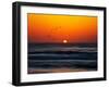 Birds at Sunset-Josh Adamski-Framed Photographic Print