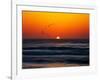 Birds at Sunset-Josh Adamski-Framed Photographic Print