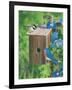 Birds at the Feeder (Bluebirds)-William Vanderdasson-Framed Giclee Print