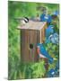 Birds at the Feeder (Bluebirds)-William Vanderdasson-Mounted Giclee Print