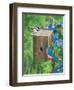 Birds at the Feeder (Bluebirds)-William Vanderdasson-Framed Premium Giclee Print
