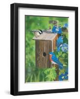 Birds at the Feeder (Bluebirds)-William Vanderdasson-Framed Premium Giclee Print