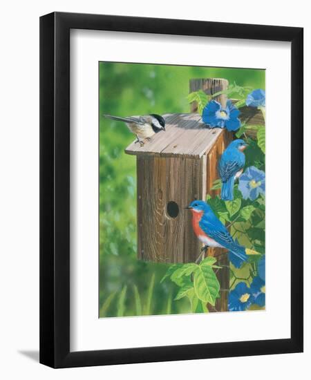 Birds at the Feeder (Bluebirds)-William Vanderdasson-Framed Premium Giclee Print