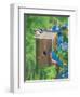 Birds at the Feeder (Bluebirds)-William Vanderdasson-Framed Premium Giclee Print