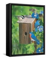 Birds at the Feeder (Bluebirds)-William Vanderdasson-Framed Stretched Canvas
