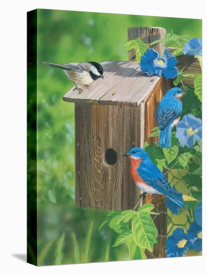 Birds at the Feeder (Bluebirds)-William Vanderdasson-Stretched Canvas