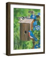 Birds at the Feeder (Bluebirds)-William Vanderdasson-Framed Giclee Print