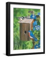 Birds at the Feeder (Bluebirds)-William Vanderdasson-Framed Giclee Print