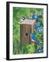 Birds at the Feeder (Bluebirds)-William Vanderdasson-Framed Giclee Print