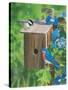 Birds at the Feeder (Bluebirds)-William Vanderdasson-Stretched Canvas