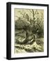 Birds Austria 1891-null-Framed Giclee Print