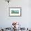 Birds Buoy Swell-Thomas MacGregor-Framed Giclee Print displayed on a wall